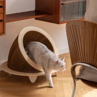 2022 New Collection Creative Cat House With Soft Plush Pad Carboard Cat House Time Machine Cat House
