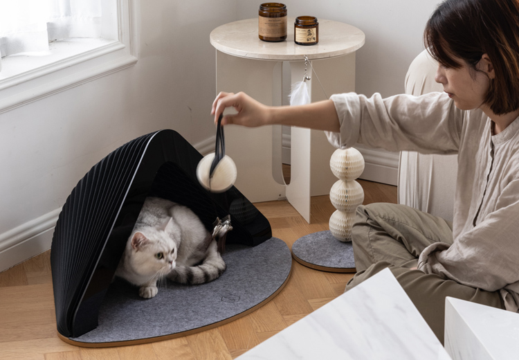 Creative-Unique-Design-Foldable-Cat-House-And-Cattery-With-Felt-Cushion-For-Small-Pets-2